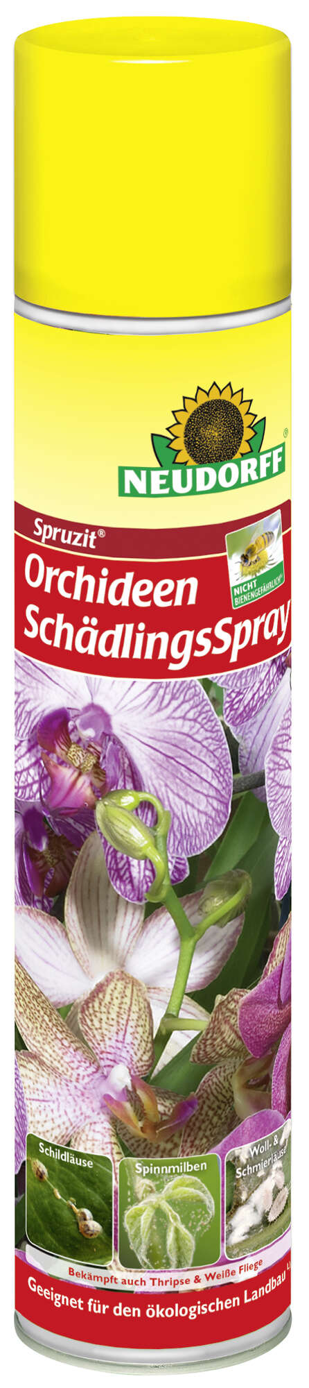 NEUDORFF Spruzit Orchideen SchädlingsSpray